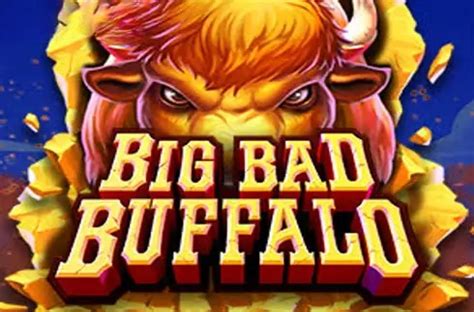 Big Buffalo Review 2024