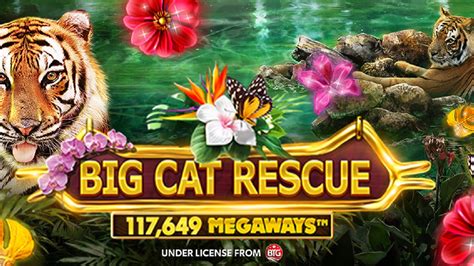 Big Cat Rescue Megaways Bodog