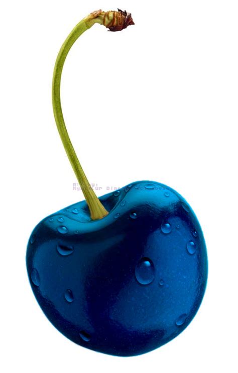 Blue Cherry Bwin