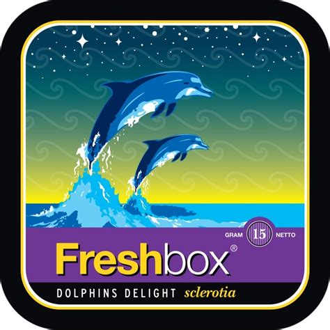 Dolphin Delight Brabet