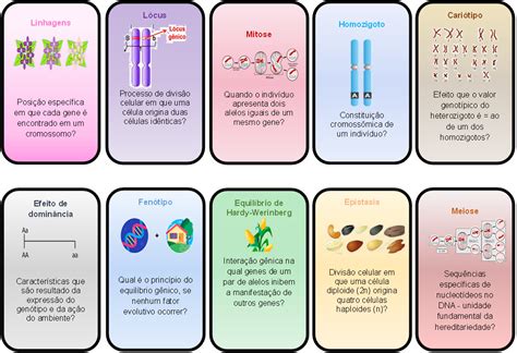 Jogo Patologico Genetica