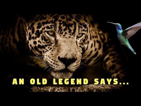 Legend Of The Jaguar Betano