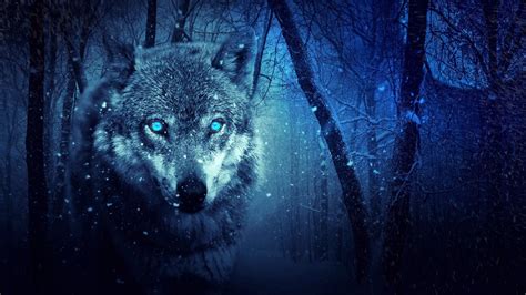 Night Wolves Betsul