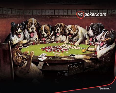 Poker Caes Papel De Parede