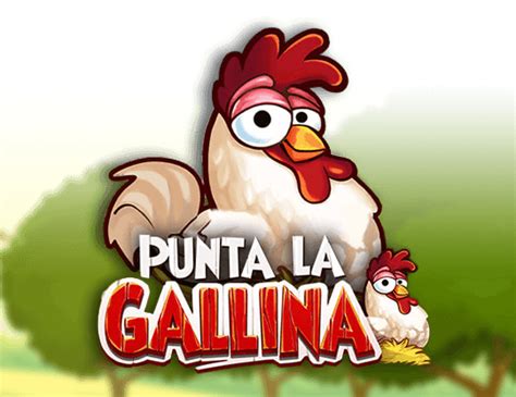 Punta La Gallina Review 2024