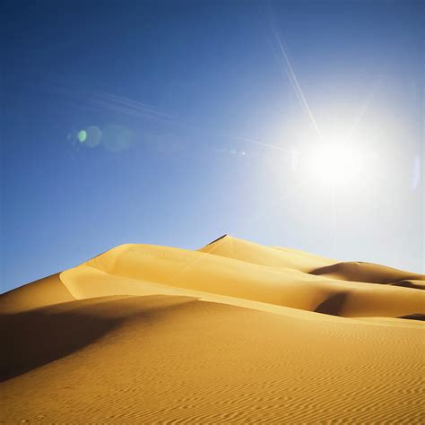 Sahara Sun Netbet