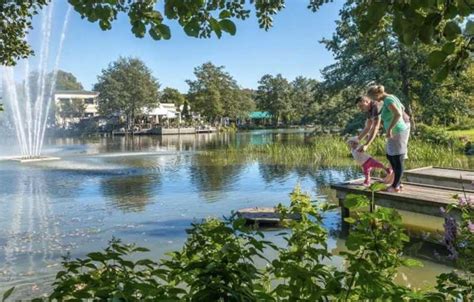 Slottsskogen Parque Och Natur