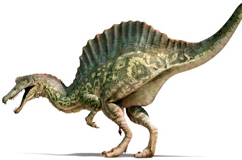 Spinosaurus 1xbet