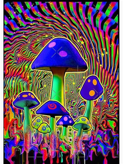 Trippy Mushrooms Brabet