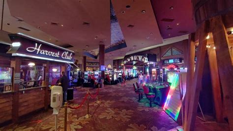 Twin Pines Entretenimento De Casino