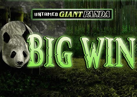 Untamed Giant Panda 1xbet