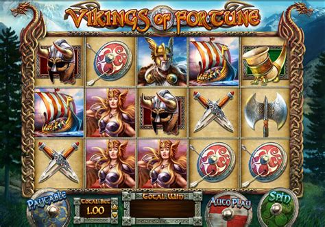 Viking Slots Casino Bonus