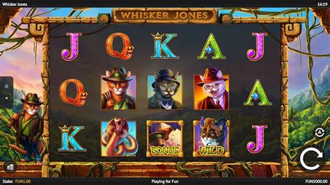 Whisker Jones Novibet