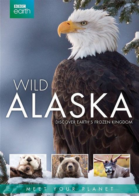 Wild Alaska Netbet