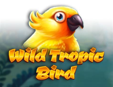 Wild Tropic Bird Review 2024