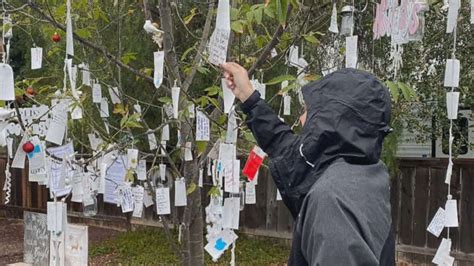 Wishing Tree 1xbet