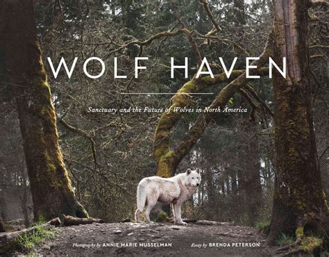 Wolf Haven Betsul